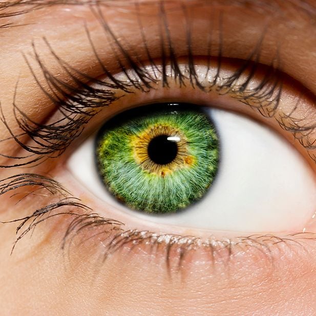 Eye_colour_row_3