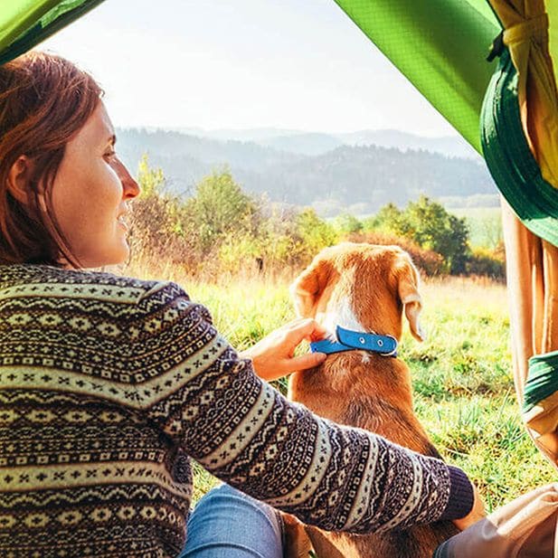 Camping_tips_row_3